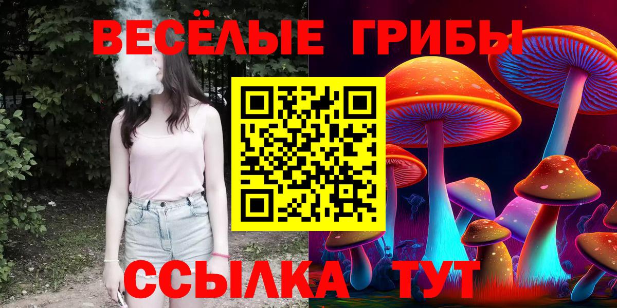 Псилоцибиновые грибы MAGIC MUSHROOMS  Псилоцибиновые грибы GOLDEN TEACHER  Вход с VPN  Дзержинск 